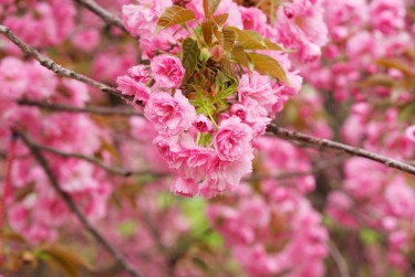 南京玄武区9线下个人借款平台一站式服务，轻松解决资金难题