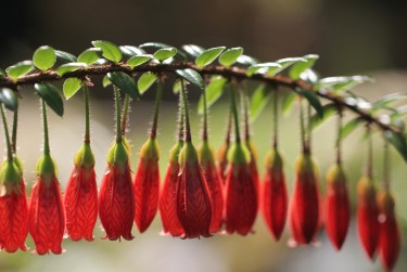 南京玄武区9零用贷短借：轻松解决临时资金需求