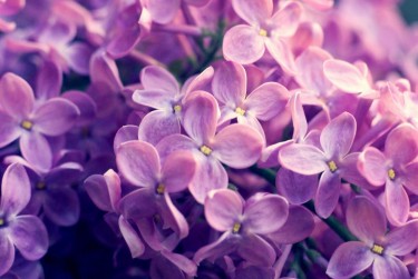 南京玄武区9企业急用钱贷款攻略：快速融资解燃眉之急